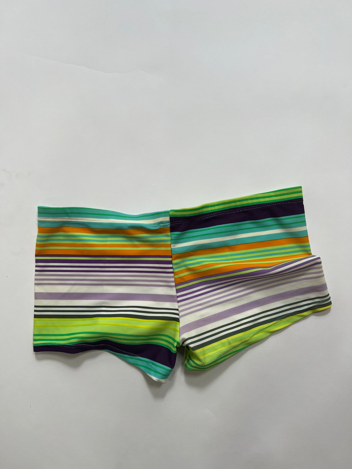 Multicolor Striped Swim Shorts