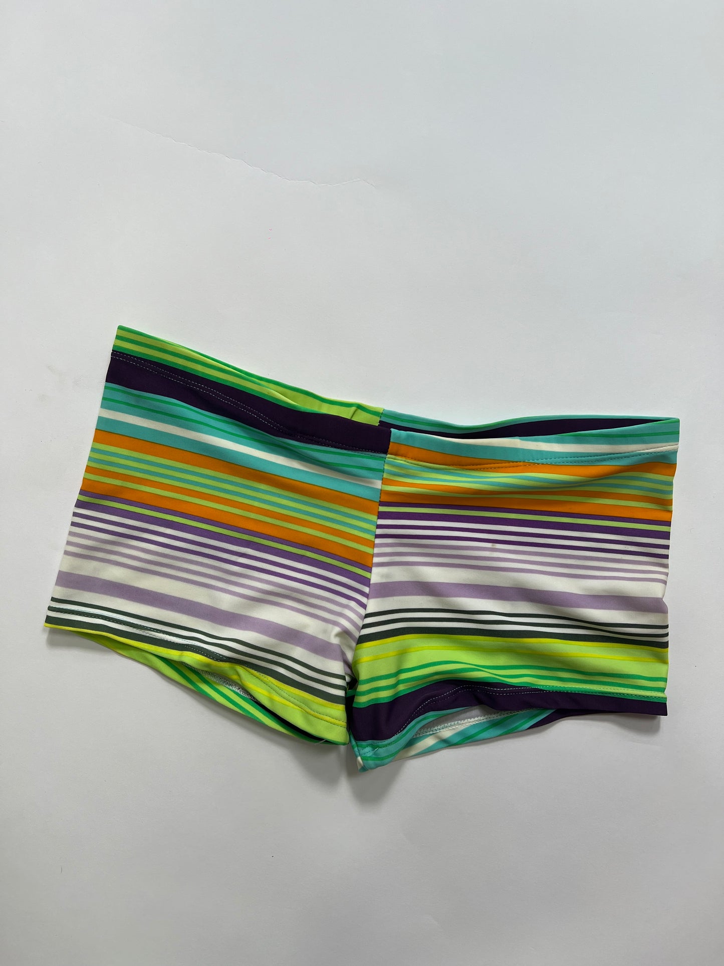 Multicolor Striped Swim Shorts